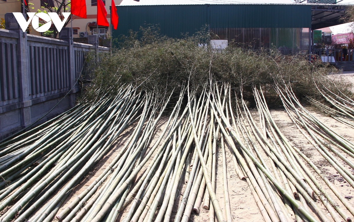 Di cho mua neu ngay can tet hinh anh 4