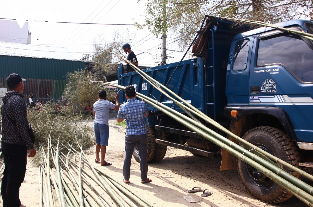 Di cho mua neu ngay can tet hinh anh 1