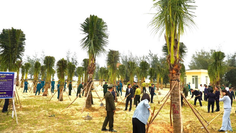 Các đại biểu trồng cây ở ven biển Đồng Hới z7555307161838-cf82d4e05f30df615bd70184344bd72e-494.jpg