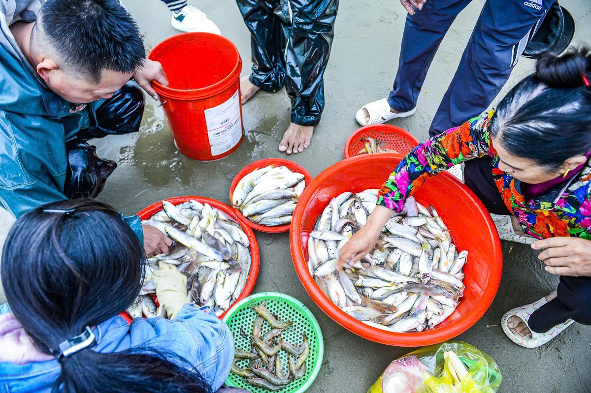 Gần 1 triệu đồng/kg cá khoai, ngư dân hồ hởi 