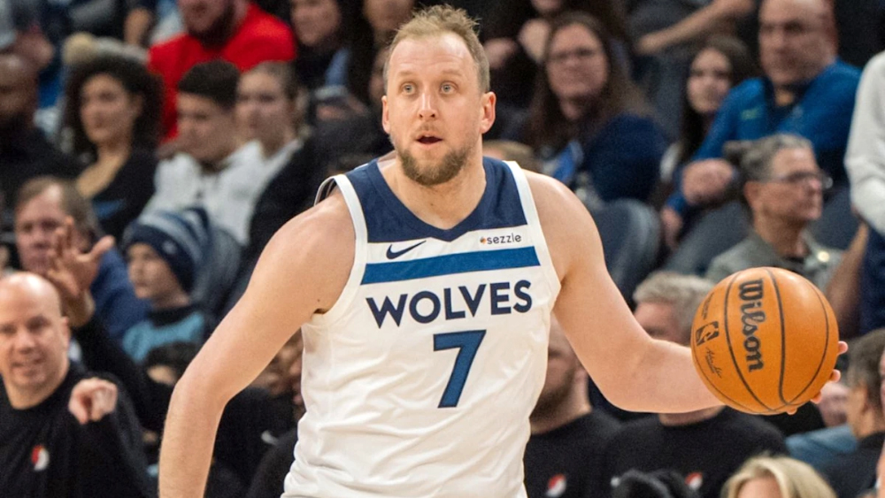 joe ingles timberwolves 1